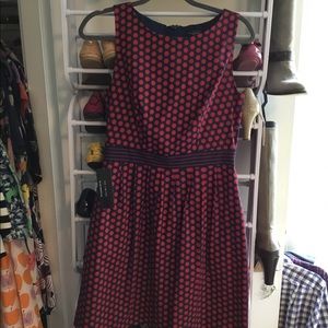 NWT Polka Dot Dress from The Limited